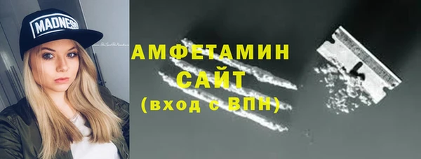 индика Вязники